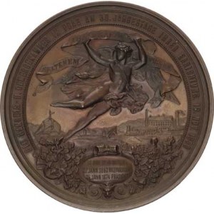 Medaile Rakousko - Uhersko, Richard rytíř v. Dotzauer, poprsí zleva / 30. výročí založení Obc