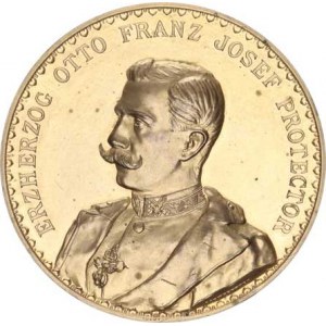 Medaile Rakousko - Uhersko, Protektor arciv. Otto Franz Josef, poprsí zprava, opis / Průmyslo