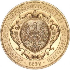 Medaile Rakousko - Uhersko, Protektor arciv. Otto Franz Josef, poprsí zprava, opis / Průmyslo