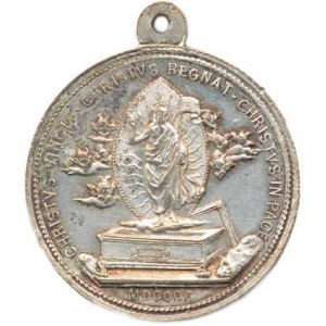 Vatikán - Papežský stát, Leo XIII., medaile na Svatý rok 1900, A: Poprsí papeže zleva, opi