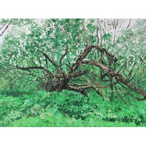 Pervin Ece Yakacik Healing, Divided Tree, 2020