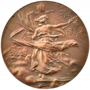 Franciszek Józef I, medal wybity z okazji 50 rocznicy objęcia tronu (1848-1898), sygnowany I.B. Pichl Praga