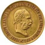 Franciszek Józef I, medal wybity z okazji pobytu cesarza w Brünn (Brno) 1892