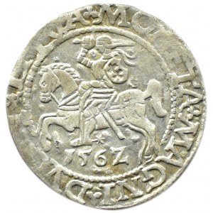 Zygmunt II August, półgrosz 1562, Wilno, LITV/L