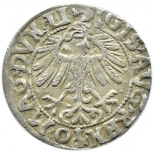 Zygmunt II August, półgrosz 1558, Wilno, LITV/LI