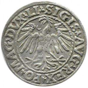 Zygmunt II August, półgrosz 1547, Wilno, WIĘKSZA POGOŃ