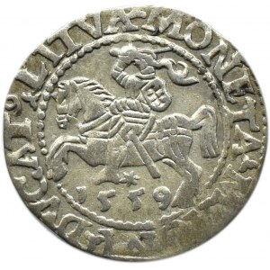 Zygmunt II August, półgrosz 1559, Wilno, LITVA/L