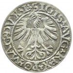 Zygmunt II August, półgrosz 1562, Wilno, LITVA/L