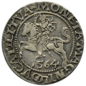 Zygmunt II August, półgrosz 1564, Wilno, topór, LITVA/L