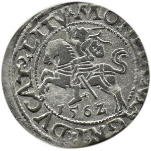 Zygmunt II August, półgrosz 1562, Wilno, LITV/L