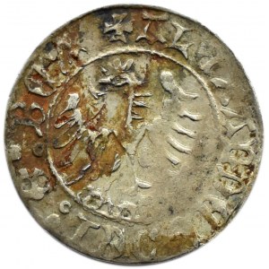 Aleksander I Jagiellończyk, półgrosz koronny bez daty, Kraków, bardzo ładny