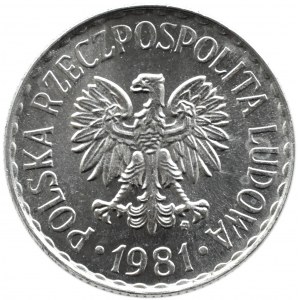 Polska, PRL, 1 złoty 1981, Warszawa, IDEALNE, UNC