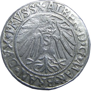 Prusy Książęce, Albrecht, grosz pruski 1539, Królewiec