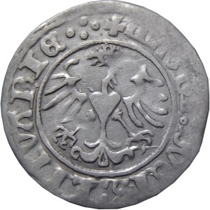 Zygmunt I Stary, półgrosz 1513, Wilno, skrócona data, SIGISMVNI