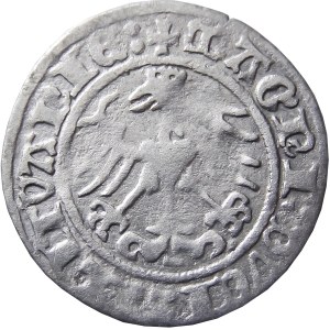 Zygmunt I Stary, półgrosz 1515, Wilno