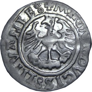 Zygmunt I Stary, półgrosz 1525, Wilno, PIĘKNY