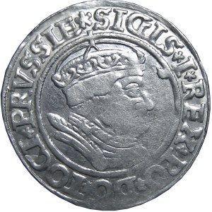Zygmunt I Stary, grosz 1535, Toruń, popiersie w czepcu, PRVSSIE/PRVSSIE