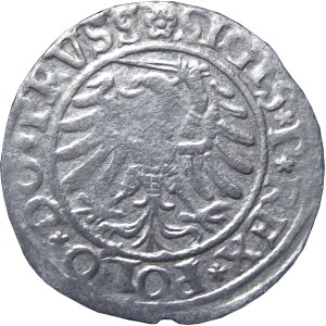 Zygmunt I Stary, szeląg 1532 PRVSS, Elbląg
