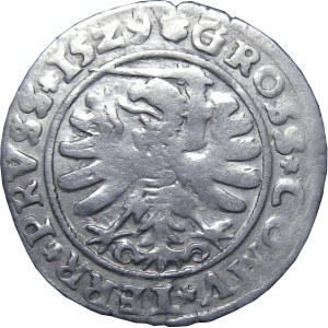 Zygmunt I Stary, grosz 1529, Toruń, PRVS/PRVSS