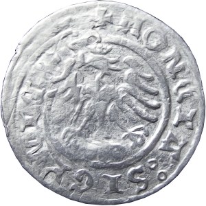 Zygmunt I Stary, półgrosz 1507, Kraków, CIEKAWY