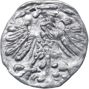 Zygmunt II August, denar 155?, Wilno