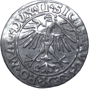 Zygmunt II August, półgrosz 1550, Wilno, MENNICZY