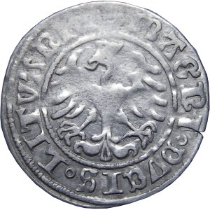 Zygmunt I Stary, półgrosz 1509, Wilno, POCHWA