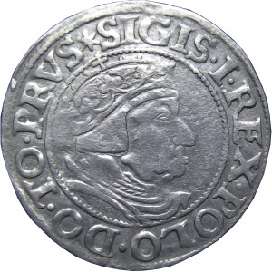 Zygmunt I Stary, grosz 1537, Gdańsk, RZADKI, BARDZO ŁADNY