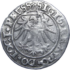 Zygmunt I Stary, grosz 1535, Elbląg, SIGIS*REX