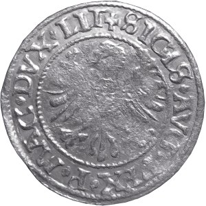 Zygmunt II August, półgrosz 1545, Wilno, DVCATVS, bardzo rzadki