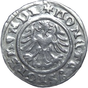 Zygmunt I Stary, półgrosz 1509, Kraków, MENNICZY
