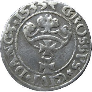 Zygmunt I Stary, grosz 1535, Gdańsk, PRV