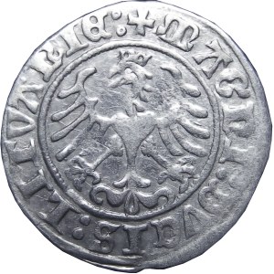 Zygmunt I Stary, półgrosz 1509, Wilno
