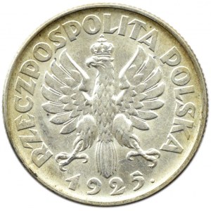 Polska, II RP, Kłosy, 1 złoty 1925, Londyn, UNC