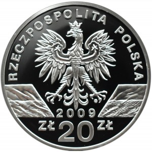 Polska, III RP, 20 złotych 2009, Jaszczurka Zielona, Warszawa, UNC