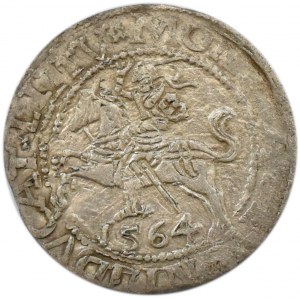 Zygmunt II August, półgrosz 1564, Wilno, LITV/LI