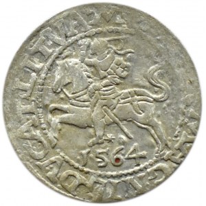 Zygmunt II August, półgrosz 1564, Wilno, LITVA/L
