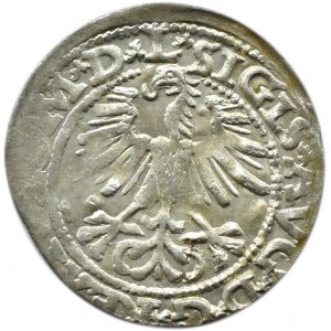 Zygmunt II August, półgrosz 1564, Wilno, LITV/L