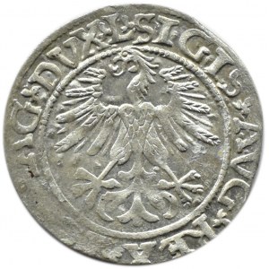 Zygmunt II August, półgrosz 1561, Wilno, LITV/L