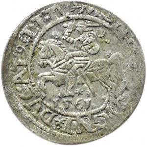 Zygmunt II August, półgrosz 1561, Wilno, LITV/LI