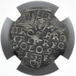 Zygmunt III Waza, trojak 1597 IF, Wschowa, NGC AU