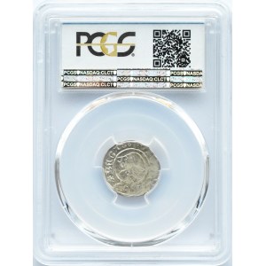 Zygmunt I Stary, półgrosz 1509, Kraków, PCGS AU55