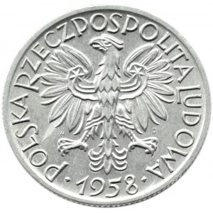 Polska, PRL, Rybak, 5 złotych 1958, wąska ósemka, Warszawa, UNC