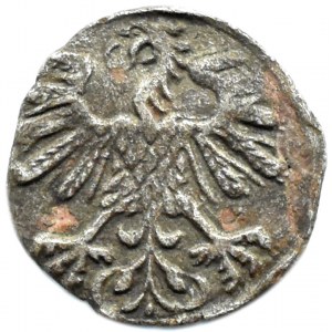 Zygmunt II August, denar 1559, Wilno, rycerz bez strzemienia