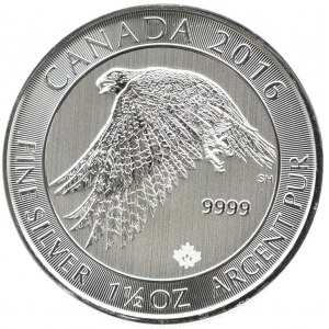 Kanada, 8 dolarów 2016, Sokół - Białozór, Ottawa, UNC