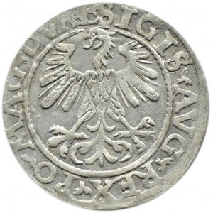 Zygmunt II August, półgrosz 1560, Wilno, LITV/L