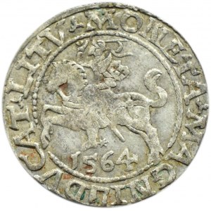 Zygmunt II August, półgrosz 1564, Wilno, LITV/L, topór