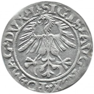 Zygmunt II August, półgrosz 1561, Wilno, LITVA/L