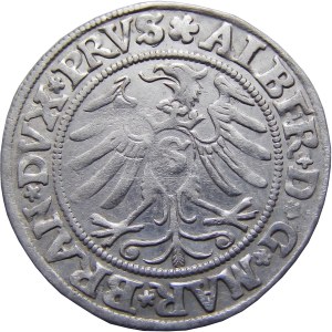 Prusy Książęce, Albrecht, grosz pruski 1531, Królewiec