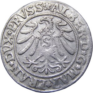 Prusy Książęce, Albrecht, grosz pruski 1532, Królewiec